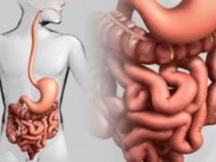 Cleaning the intestines at home: effective folk ways to get rid of biomass
