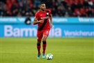 Tottenham found a substitute for Alderweideld in Bayer
