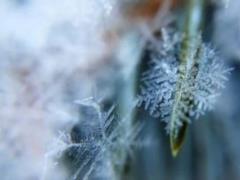 What categorically you can not do in the cold