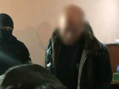 В Печенегах высокий чин  крышевал  вырубку леса