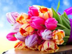 Kernes congratulates Kharkov women on the 8th of March holiday