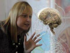 The brain only takes medication at certain hours