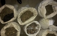 In Rivne arrested 137 kg of seized amber