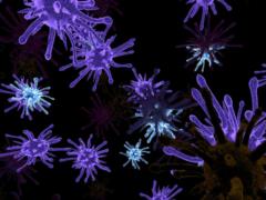  Illness X . Scientists warned of the threat of a new global epidemic