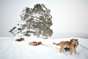 Ural extremists conquered the pass of Dyatlov on dog sleds