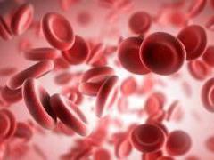 Proven folk remedies with reduced hemoglobin