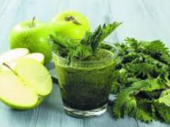 Scientists told about the beneficial properties of nettle