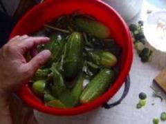 An unexpected danger of pickles is found out