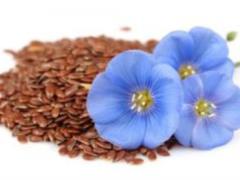 The doctors told about the unique properties of flax seeds
