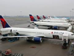 Puppy traveled for two days in the US because of a mistake by Delta Airlines