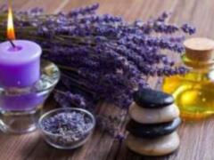 Doctors explained the benefits of lavender oil