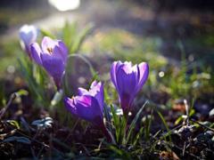 Weather in Ukraine in the next 24 hours will be determined by the anticyclone