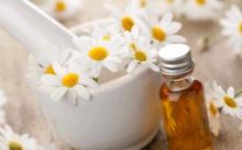 Chamomile with milkmaids