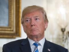 Lawyers disdain Trump