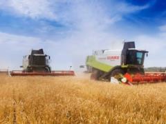 Two crops. The expert told about new realities in the agricultural sector of Ukraine