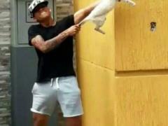 The Venezuelan club kicked out two players for the terrible mockery of the cat