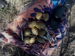 In Zaporozhye, the SBU uncovered a cache of ammunition