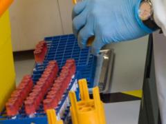 WADA разрешило россиянам допинг