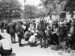 10 и 11 апреля. Размышления к датам