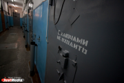 Неудачливый насильник из Ирбита проведет в колонии почти 20 лет