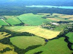 Prosecutor s Office filed a lawsuit in the court on the return of land to the state for 6 million. UAH