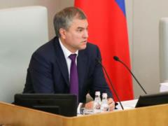 Володин назвал законодательное  эхо  американцам рамочным
