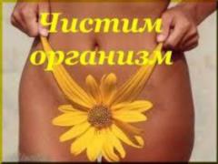 These diets will help to cleanse the digestive system of the body