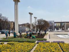 Near the opera in Kharkov planted about 16 thousand colors