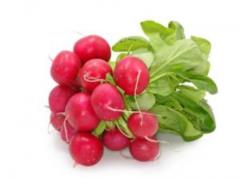 Vegetable for spring season: physicians named useful properties of radish