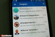 Из-за блокировки Telegram свердловские чиновники и эксперты перевели «Умный регион» в WhatsApp