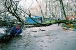 Негода в Москві і ЦФО