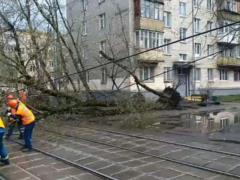 Москва подсчитала потери от урагана