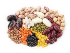 Scientists called products that prolong life
