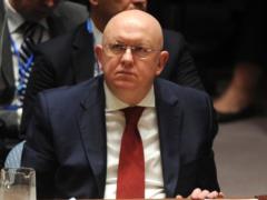 Американцы назвали Россию вредоносным насекомым