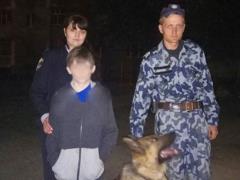 В Чернигове полицейский пес помог разыскать заблудившегося мальчика