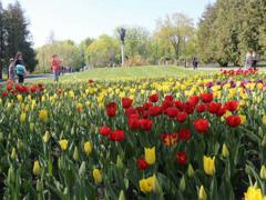May Day in Ukraine will be warm