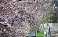 In Kiev, there are two temperature records