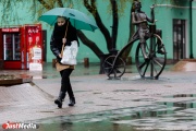 To the Sverdlovsk region heavy rains and wind