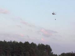 Пожар в лесу в Черниговской области локализован
