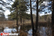 In the Sverdlovsk region because of high water without roads there were 22 settlements