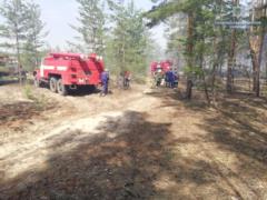 На Луганщине загорелось около 5 гектаров леса