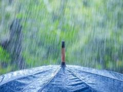 In Ukraine, short-term rains with thunderstorms are expected