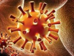 Physicians created a unique vaccine against herpes