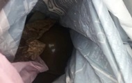 У Києві чоловік гуляв з гранатою в рюкзаку