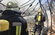 Пожежа в столичному Гідропарку ліквідували - ГСЧС