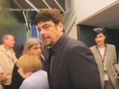 Benicio del Toro applauded the Ukrainian film  Donbass  in Cannes