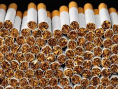 Kharkiv region statistics: on tobacco production, 2/3 employees work in hazardous conditions