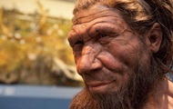 Scientists will grow the brain of the Neanderthal man