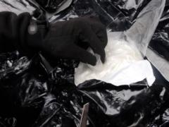 Border guards have identified 26 kg of possible drugs from a Lithuanian citizen