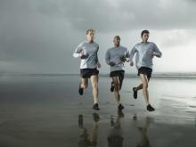 Exercises stimulate the hippocampus